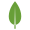 icon5